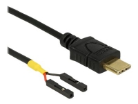 Delock - USB-kabel - USB-C (han) til 2 pin USB-samlestykke (hun) separat - 20 cm - sort