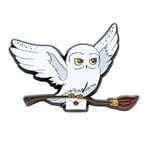 Grupo Erik Harry Potter Magnet - Hedwig | Harry Potter Merchandise, Harry Potter Gifts, Harry Potter Decorations, Harry Potter Decor, Harry Potter Accessories