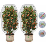 Jusch - Filet pour Arbre Fruitier, Filet de Protection Contre Les Insectes, Lot de 2 Filets de Protection des Plantes avec Cordon de Serrage(1 x 1,5