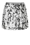 Audra Short Skirt - Silver