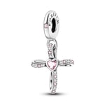 TINSLO 925 Sterling Silver Charms Beads for Pandora Bracelet, Dangle Pendant Charms for Necklace and Bracelet Jewelry Gifts for Women Girls