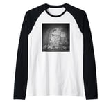 The Damned History Of The World Part 1 Art By Allan Ballard Raglan Baseball Tee