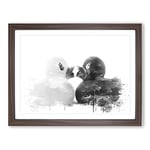 Rubber Ducks Opposites Attract V4 Modern Framed Wall Art Print, Ready to Hang Picture for Living Room Bedroom Home Office Décor, Walnut A4 (34 x 25 cm)