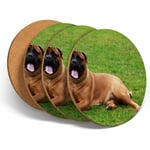 4 Set - Bullmastiff Large Dog Breed Puppy Coasters - Kitchen Drinks Gift #3241