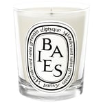 Diptyque Baies Scented Mini Candle, 70g