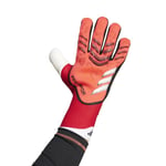 adidas Målvaktshandske Predator Pro Pure Victory - Lucid Red/Svart/Pure Ruby, storlek 9½