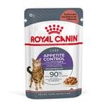 Royal Canin Appetite Control Care i sauce - Økonomipakke: 96 x 85 g