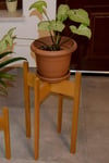 Florny Handmade Solid Wood Plant  Stand Planter  (60cm)