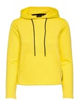 W Race Hood Sport Sweat-shirts & Hoodies Hoodies Yellow Sail Racing