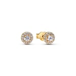 Pandora Stud Earrings 14K Gold-Plated örhängen 263019C01