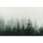 Papier peint panoramique forêt Tapisserie panoramique verte, blanche et grise Papiers peints panoramiques arbres pour chambre - gris, vert