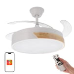 M Ledme - Ventilateur de plafond avec lumière Led Messe 72W Blanc avec bois naturel et Télécommande, moteur DC, 6 vitesses, Silencieux, 4 Pales déployantes, fonction été-hiver, minuterie. Avec APP