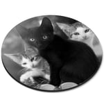 Round Mouse Mat (bw) - Cute Kittens Black Tabby Ginger Cat  #43908