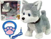 Leantoys Plush Husky Hund Interaktiv Pedagogisk Koppel Sånger Promenader