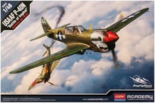 Academy USAAF P-40N "Battle of Imphal" AC12341 SC 1:48