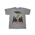 Junk Food Childrens/Kids Bat Signal Batman T-Shirt