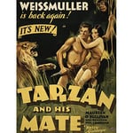 Wee Blue Coo Advertising Movie Film Tarzan Mate Jane Weissmuller Jungle Lion Art Print Poster Wall Decor 12X16 Inch