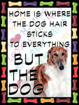 Shawprint Borzoi Dog Fridge Magnet 100mm x 75mm HOME IS WHERE THE DOG HAIR STICKS TO EVERYTHING BUT THE DOG Novelty Gift