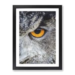 Eye Of An Owl Painting Modern Framed Wall Art Print, Ready to Hang Picture for Living Room Bedroom Home Office Décor, Black A4 (34 x 25 cm)