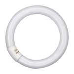 Osram ET151518 32W Ring Fluorescerende pære