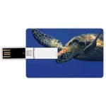 32G USB Flash Drives Credit Card Shape Turtle Memory Stick Bank Card Style Close Up Photo of Green Turtle at Sipadan Borneo Malaysia Cute Animal Under the Sea,Blue Yellow Waterproof Pen Thumb Lovely J