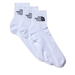 Ankelstrumpor herr 3-pack The North Face NF0A882GFN41 Vit