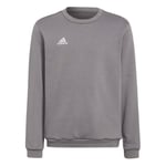 adidas Genser Entrada 22 - Grå Barn, størrelse 176 cm