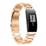 Fitbit Inspire      Stainless Steel Strap   Gold