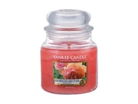 Yankee Candle Classic Medium Jar Candles Scented Candle Sun-Drenched Apricot Rose 411 g