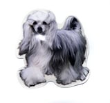 World Stickers Chinese Crested Powder Puff - klistremerker