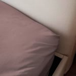 Morphea France Drap Housse 160 x 200 cm Rose 100% Coton Percale Drap de lit - Lavable en Machine Doux et Ultra Respirant pour des Nuits Confortables