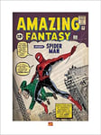 Marvel Comics Spider-Man (Issue 1) 60 x 80 cm Toile Imprimée