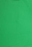 Green Screen Chroma Key Grönt Tyg 2x3m