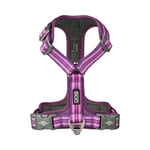 Dog Copenhagen Comfort Walk Air Harness Purple Passion 2024 - XS