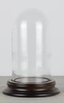 Vintage Look Small Glass Dome With Wooden Base Height 13.5 cm