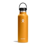 Hydro Flask - Water Bottle 621 ml (21 oz) - Vacuum Insulated Stainless Steel Water Bottle with Straw Cap - BPA-Free - Standard Mouth - Fossil