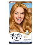 Clairol Nice'n Easy Crme Oil Infused Permanent Hair Dye 8G Medium Honey Blonde 177ml