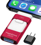 Clé USB 256 Go, Extension de Cle Mémoire Externe, Clé Photo, Lecteur Flash pour iOS et Android, Ordinateur, Pc, Photos/Vidéos/Fichiers Copiés en Un Clic (Rouge)