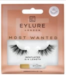 Eylure Most Wanted Accent Lashes - Infatuated - Black 3/4 False Full Eyelashes