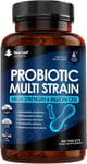 Probiotic Supplements Multi Strain Acidophilus Probiotic 360 Tablets High Streng