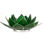 Lotus Atmospheric Light Chakra 4 Green Silver Trim-- 13.5