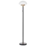 Lampadaire Noir en Fer et Verre 150 cm Abat-Jour en Demi-Globe pour Salon et Ch