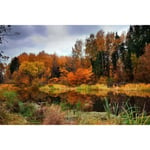 Papier Peint Photo INTISSÉ-(204086)-RIVIÈRE DE LA FORÊT D'ORANGE D'AUTOMNE-300x223cm-6 lés-Mural Poster Géant XXL-Fleur Beach Mer