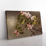 Big Box Art Apple Blossom by Martin Johnson Heade Canvas Wall Art Print Ready to Hang Picture, 76 x 50 cm (30 x 20 Inch), Green, Brown, Cream