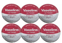 6x Vaseline Lip Therapy Rosy Lips Tin 20g 