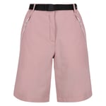 Regatta Womens/Ladies Xert Stretch Shorts (Dusky Rose) - Pink/Blue - Size 44