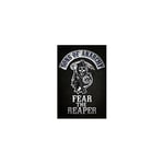 Pyramid International Fear The Reaper Maxi Poster, Wood, Multi-Colour, 91.5x61x0.02 cm