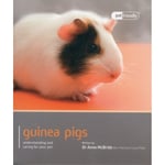 Guinea Pig - Pet Friendly (häftad, eng)