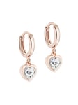 Ted Baker Hanniy Crystal Heart Huggie Hoop Earrings For Women (Rose Gold/Crystal)