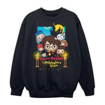 Harry Potter And The Philosopher´s Stone Boys Sweatshirt - 7-8 Years